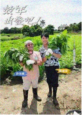 99久久视频极限挑战营